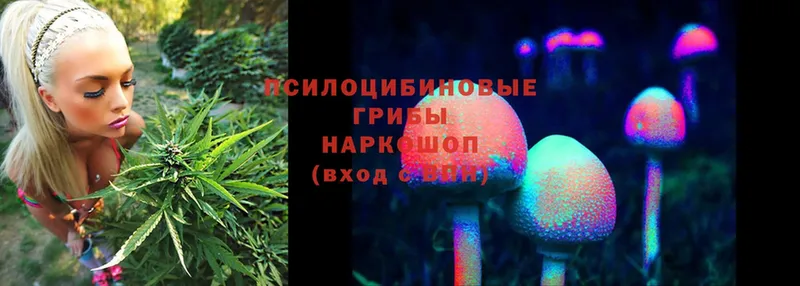 Галлюциногенные грибы Magic Shrooms  где купить наркоту  Неман 